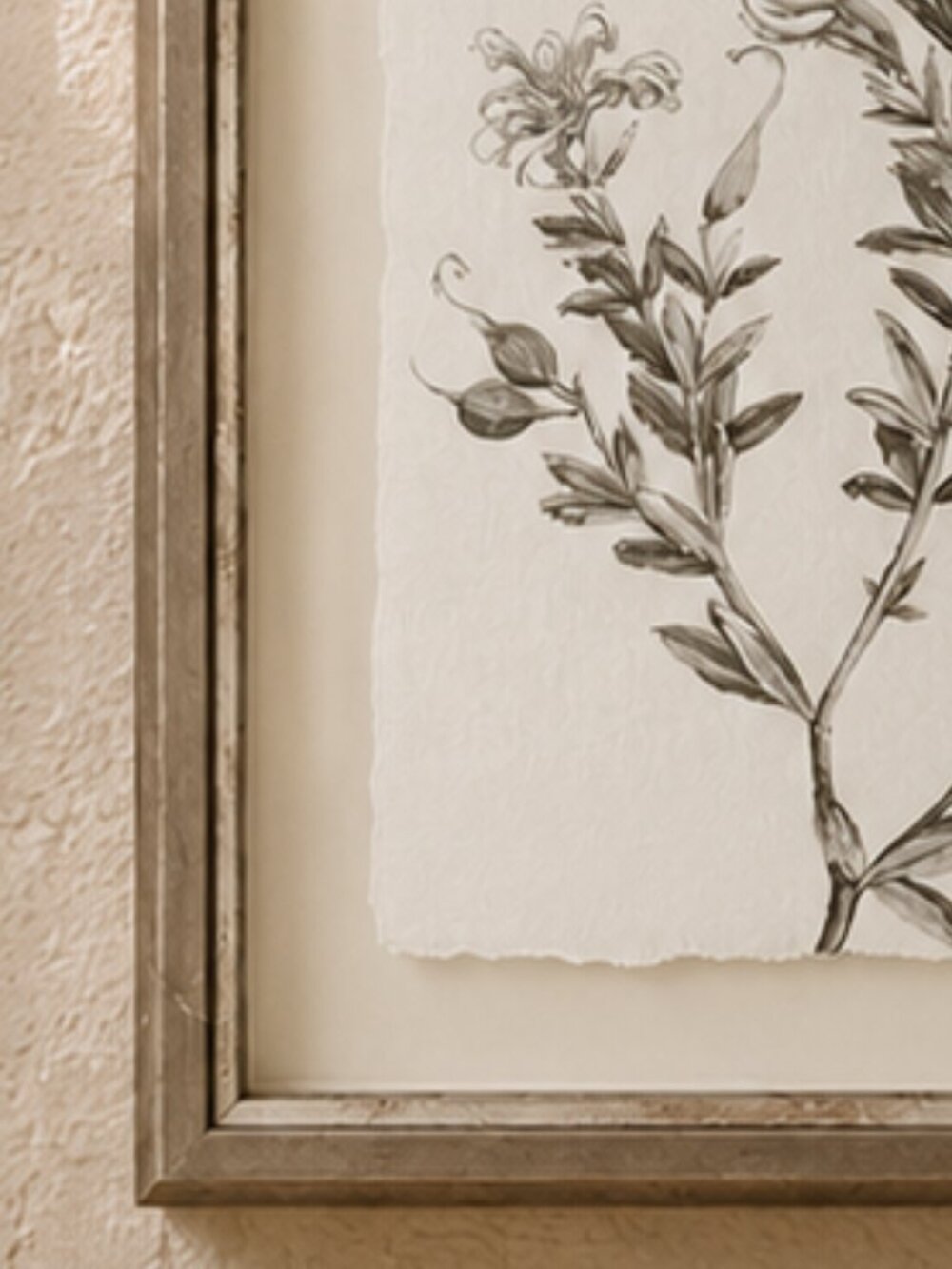 Botanical Study in Sage Floral Illustration Framed Wall Art Print - Picture 5 of 7